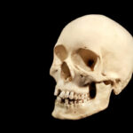 Death in Stur. A Walk Through the Darker Side of the Town's History