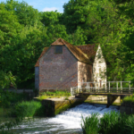 DAY TICKET: Local Authors Showcase