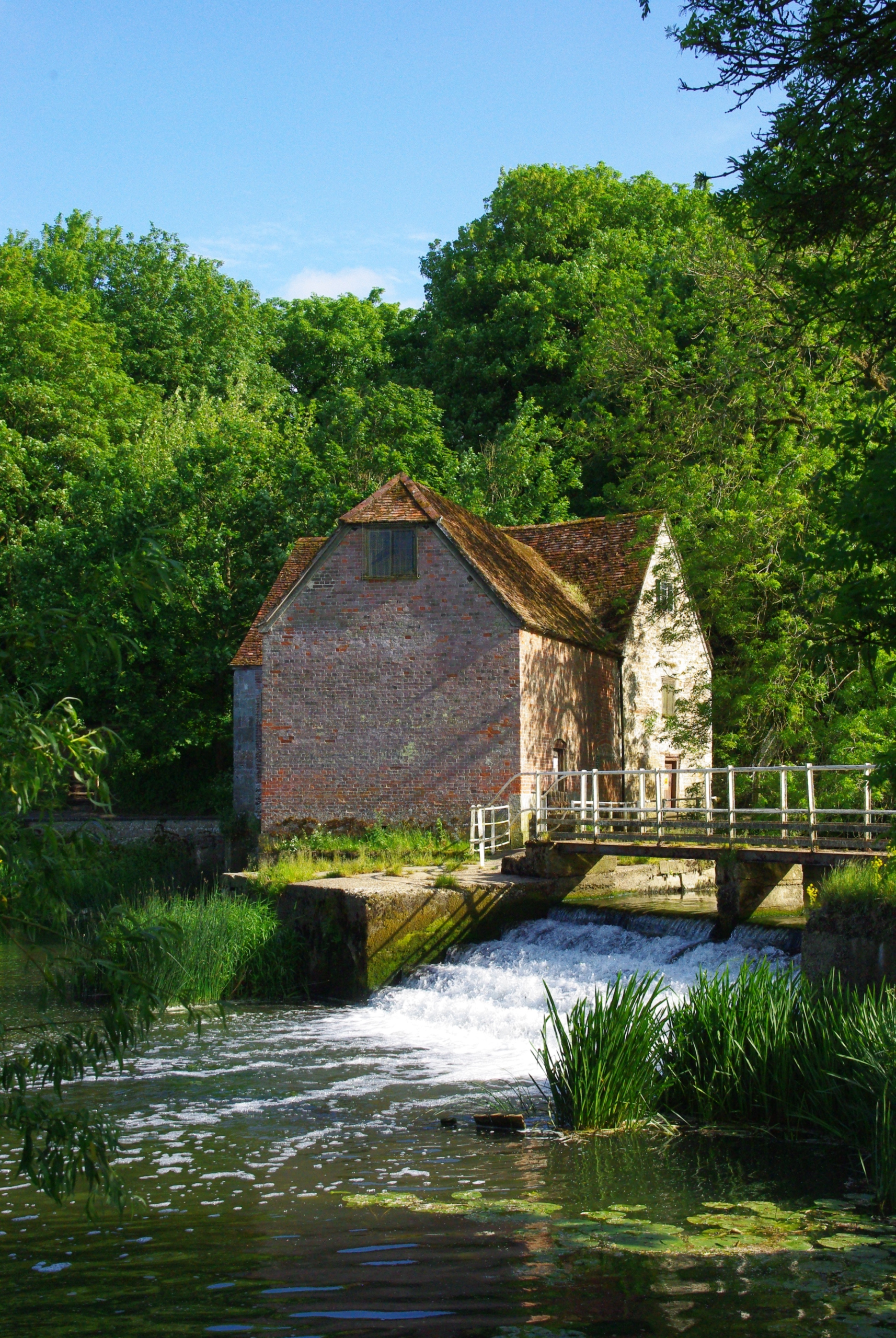 DAY TICKET: Local Authors Showcase